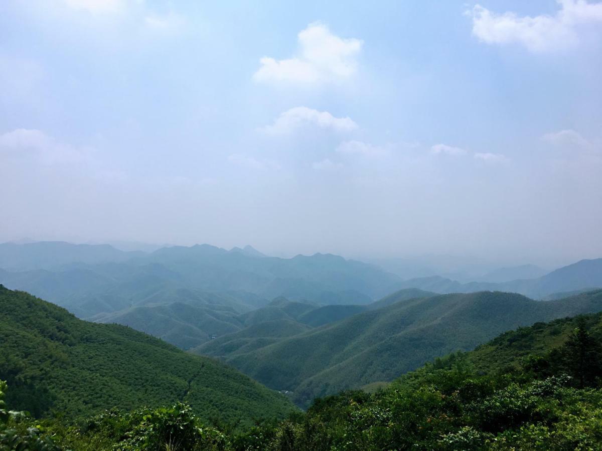 Moganshan Bamboo View Guesthouse Deqing Ngoại thất bức ảnh